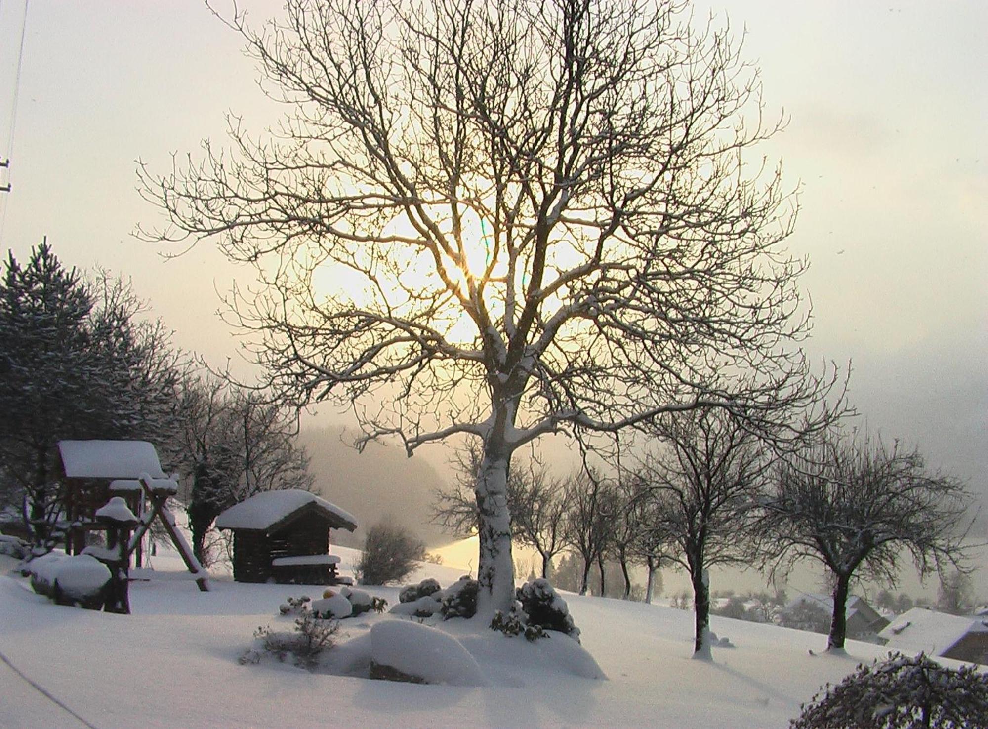 Hauslhof Bed & Breakfast Sankt Wolfgang im Salzkammergut Ngoại thất bức ảnh