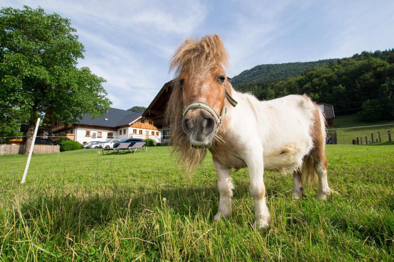 Hauslhof Bed & Breakfast Sankt Wolfgang im Salzkammergut Ngoại thất bức ảnh